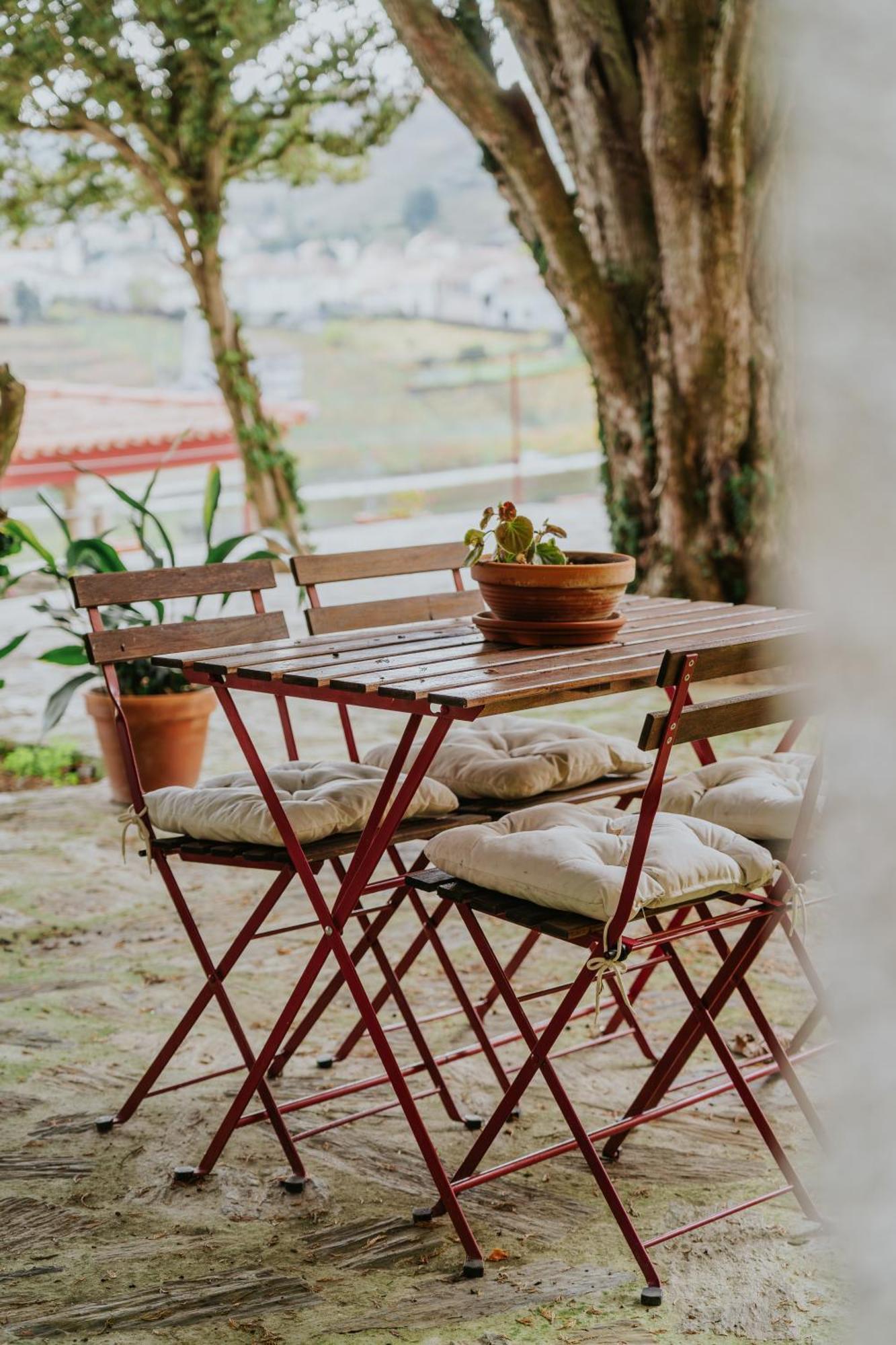 Casa Do Salgueiral Farm stay
